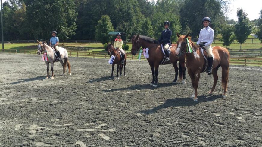 Highlights from “FENCE Open Horse Show”