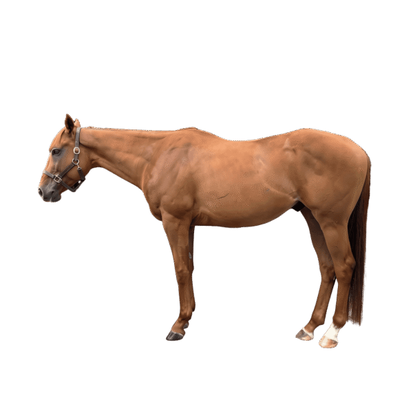 9ec3d9ca-73a3-4063-a2ea-1d802f099c1c
