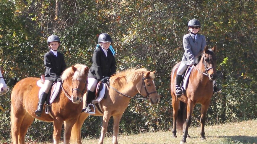 Highlights from the November 5 LCHA Open Horse Show