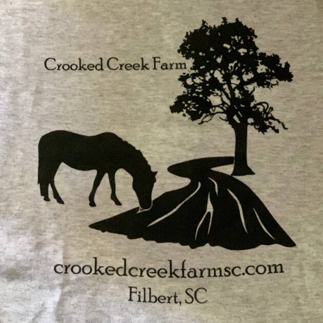 Horse Drinking Water Hoodie